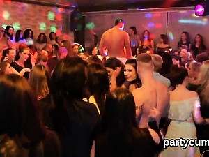 Foxy teenies get entirely foolish and stripped at hardcore p